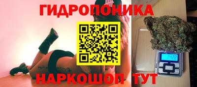 гашик Абакан