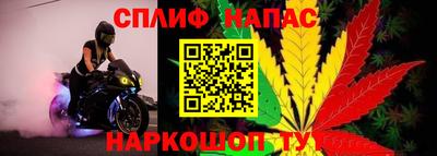 гашик Абакан