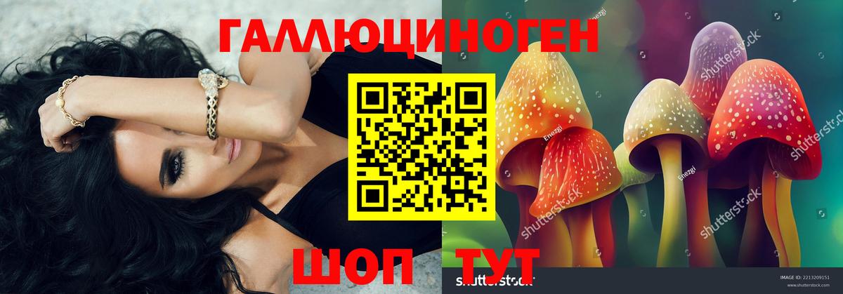 Псилоцибиновые грибы Magic Shrooms Александров