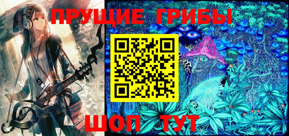 Псилоцибиновые грибы мицелий  Вход с VPN  Псилоцибиновые грибы Cubensis  Александров 